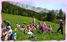 Cliquez pour agrandir l'image